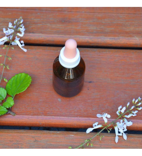 Serum para pestañas y cejas